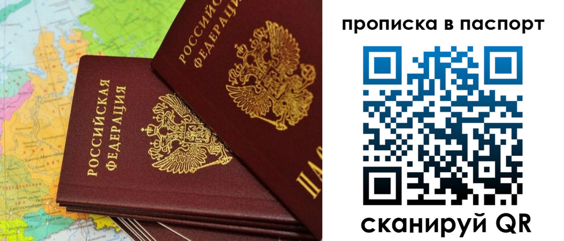прописка поиск в Александровске